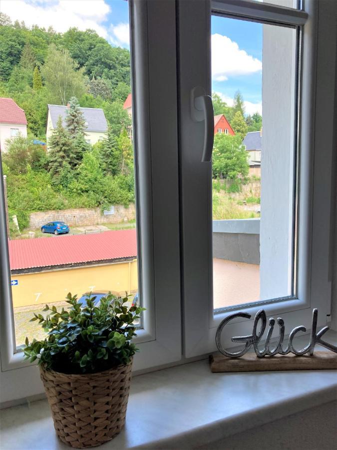 Sandstein-Ferien, Kamin, Fewo "Wanderfalke", Zentral & Ruhig, Terrasse, Saechs Schweiz Konigstein an der Elbe Luaran gambar